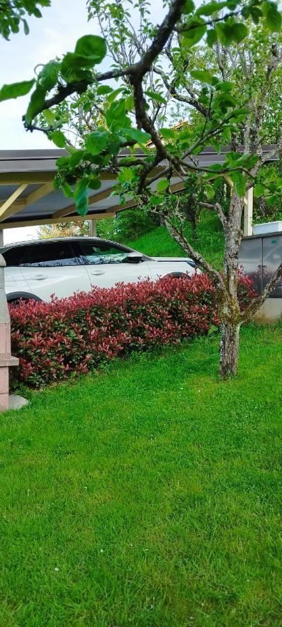 Apartma B & O イドリヤ エクステリア 写真